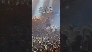 Fan Steals the Show at Martin Garrix Concert 😮 #shorts #martingarrix #edm #edmmusic #concert