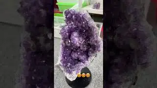 Royal Purple Majesty! ✨ #Amethyst#AmethystCluster#AmethystGeode