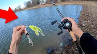 WINTER BASS MISSION!! Bank Fishing a NEW Pond!! (UNEXPECTED)