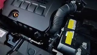 Toyota Rav4 XA40 2017 2.0 cold start what noise?