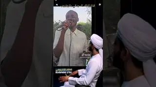 Следующий участник Quonat