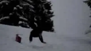 ski 93