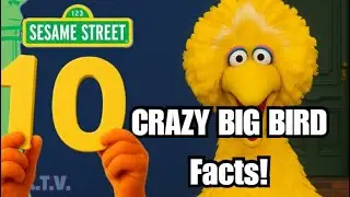 The Surprising Truth About Big Bird&rsquo;s Costume! Sesame Street - Ten Crazy Big Bird Facts: Number 10