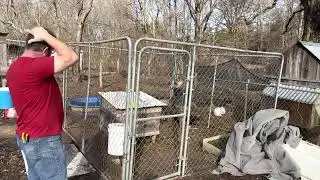 Replacing shade cloth on the silkie run￼