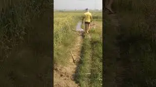Arvind Yadav Sonatek