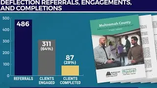 Deflection center&rsquo;s first year gets mixed reviews