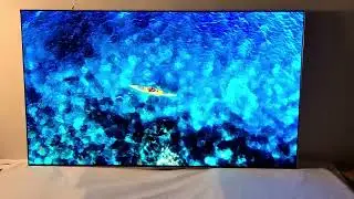 LG OLED55G46LS 55