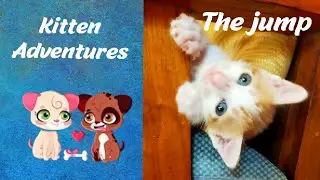 Kitten Adventures - The Jump
