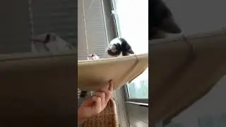The sudden violence and the repercussionss