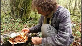 Bouleau allume-feu. Astuces du dehors n&deg;10