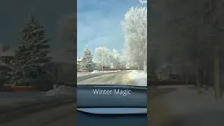 Winter Magic in Edmonton, Alberta, Canada.