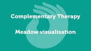 Complementary Therapy - Meadow visualisation