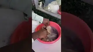 How To Dye Our Blonde Wig at home!💯#damagehair #dyehair #usaha #curlaxwigs