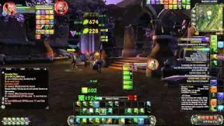 Rift Expert dungeons: Runic Desecent - Warden Falidor (by Chloro)