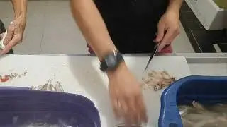 filé de Manjuba!