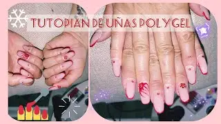 tutorial de u&ntilde;as de polygel primera vez!😬#u&ntilde;asdegel #polygeltutorial
