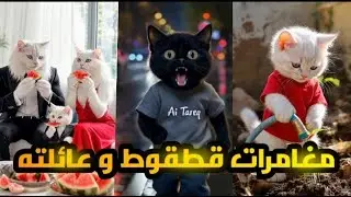 مغامرات قطوط لا تصدق 😱