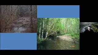 Fish Habitat Restoration on the West Fork Hood River
