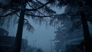 Heavy Blizzard in the Pine Forest ❄️ 3 Hours of Winter Wind Sounds for Sleep and Insomnia Relief