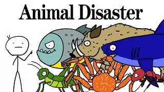 Animal Disaster，Terrifying Human Encounters with Swarming Animals #animals #nature #biology