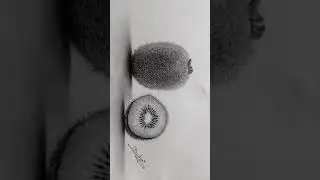 Hyperrealistic 3D Kiwi Sketch | Realistic Drawing