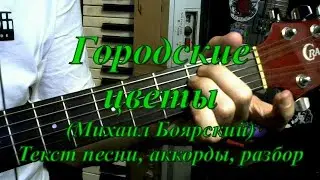 Городские цветы (Боярский). Текст, аккорды, разбор