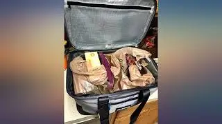 CleverMade Maverick Collapsible Cooler Bag - 50 Can Insulated Leakproof Soft Sided review