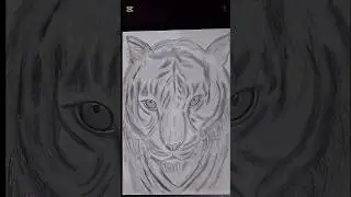 Aesthetic tiger sketch #drawing #sketch #aesthetic #tiger #art #of #anything