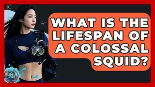 What Is The Lifespan Of A Colossal Squid? - The Marine Life Explorer