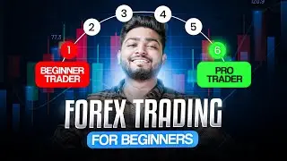 Forex Trading Basics for Beginners | Sam Trading Official