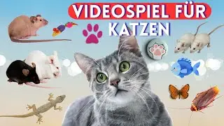 TV f&uuml;r Katzen🐟🐭Entspannendes Fisch-Spiel &ndash; Beruhigendes Video f&uuml;r Katzen🐞🦎Insekt, Maus 11hours vol1