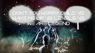 Don't you Worry Child vs. Wake Me Up vs. Levels vs. We Are Legends (DIMAZY Festival Tribute Mashup)