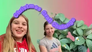 Nature Only Christmas Craft Challenge 