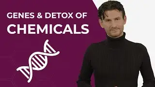How GENE DEFECTS inhibit the DETOXIFICATION of CHEMICALS