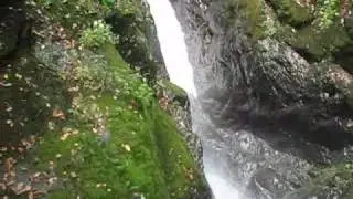Bushkill Falls - Lower Gorge