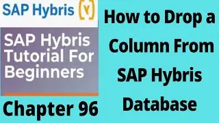 delete a column from hybris db table | DROP Column in hybris db | remove Column in sap hybris hsqldb