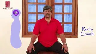 Introduction to Activate the 3 Dantian