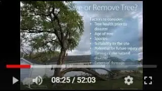 Guide to Spring Tree Planting