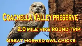 Exploring Coachella Valley Preserve