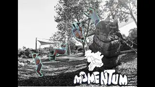 MOMENTUM parkour project