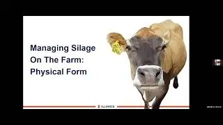 Webinar Wednesday: Optimizing Silage Fermentation