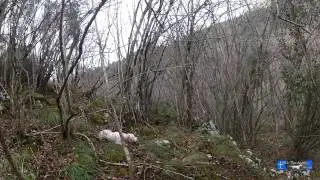 Tras las Arceas 12 (Becadas Asturianas)