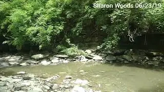 Sharon Woods Creek Walk