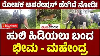 ಮೈಸೂರು ಜಿಲ್ಲೆಯಲ್ಲಿ ಹುಲಿ ಕಾಟ; ಆಪರೇಷನ್‌ಗಿಳಿದ Dasara ಅನೆ ಬೀಮಾ, ಮಹೇಂದ್ರ! | Vijay Karnataka