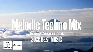 Melodic Techno Mix 2025 Best Music  |  Bird Summit