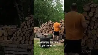Firewood is in High Demand #firewood #trending #shorts #short #video #viral #firewoodproduction