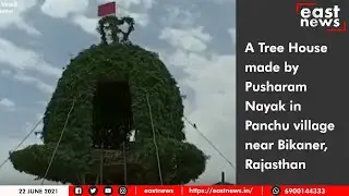A Tree House made by Pusharam Nayak in Panchu village near Bikaner, Rajasthan