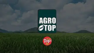 Agro &eacute; TOP -08/08/23 com Henrique Almirates