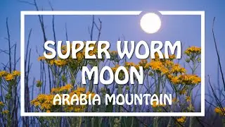 Landscape Photography | Super Worm Moon on Arabia Mountain