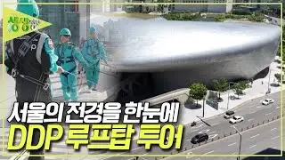 서울의 랜드마크 DDP~ DDP 지붕에서 즐기는 특별한 투어~ [2TV 생생정보] KBS 251113 방송